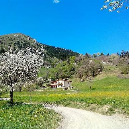 Agriturismo Bianconiglio Hotel Zone Zewnętrze zdjęcie