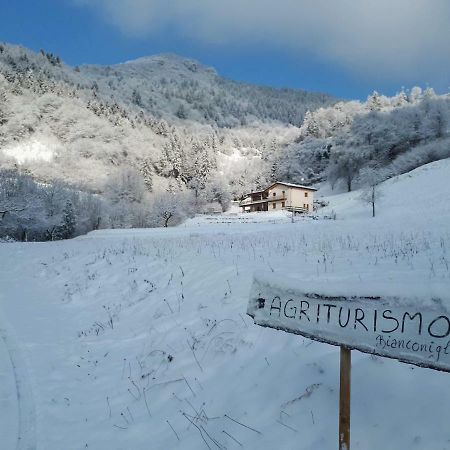 Agriturismo Bianconiglio Hotel Zone Zewnętrze zdjęcie