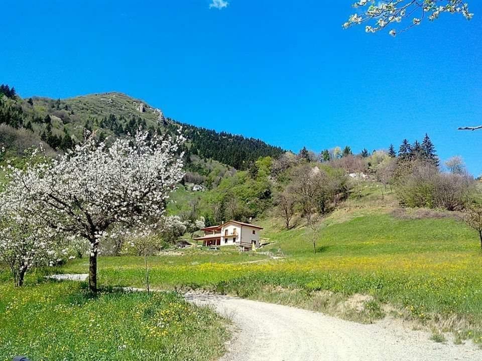 Agriturismo Bianconiglio Hotel Zone Zewnętrze zdjęcie