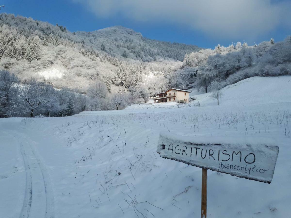 Agriturismo Bianconiglio Hotel Zone Zewnętrze zdjęcie